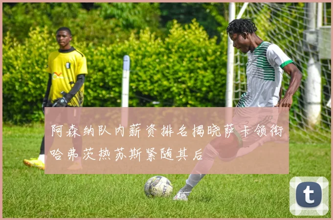阿森纳队内薪资排名揭晓萨卡领衔哈弗茨热苏斯紧随其后