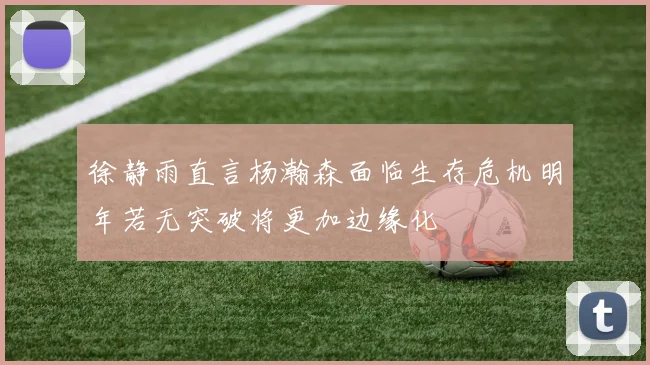 徐静雨直言杨瀚森面临生存危机明年若无突破将更加边缘化