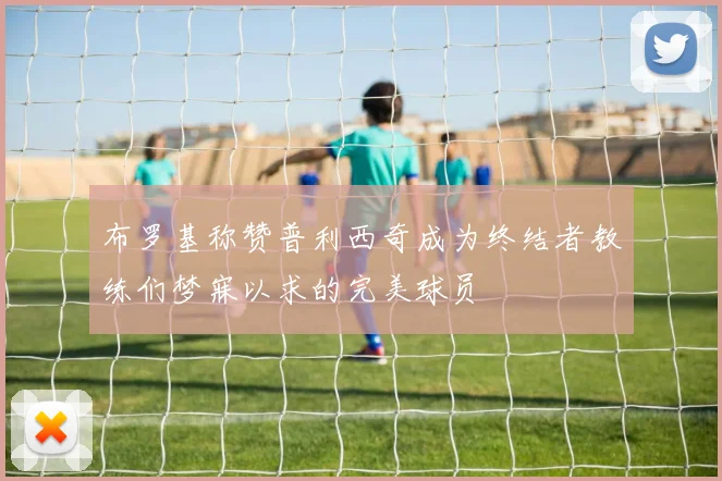 布罗基称赞普利西奇成为终结者教练们梦寐以求的完美球员
