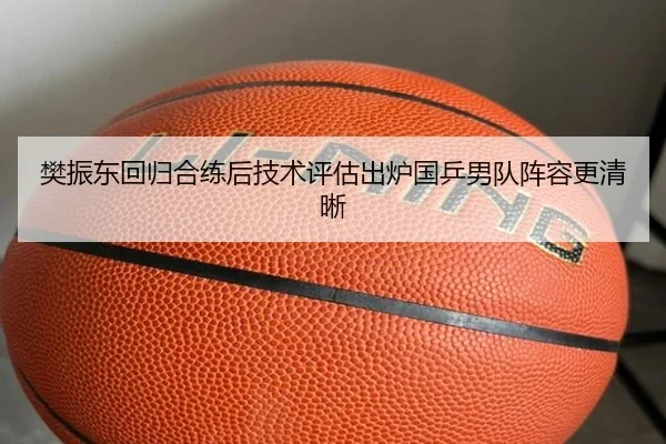樊振东回归合练后技术评估出炉国乒男队阵容更清晰